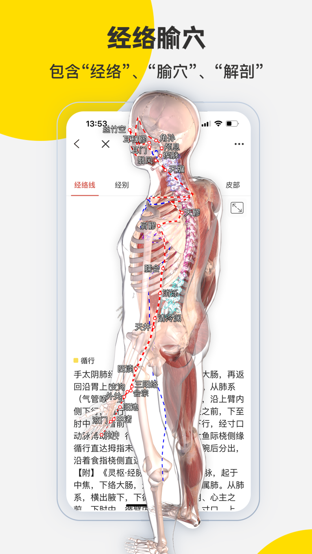 3DBody解剖v8.8.42截图2