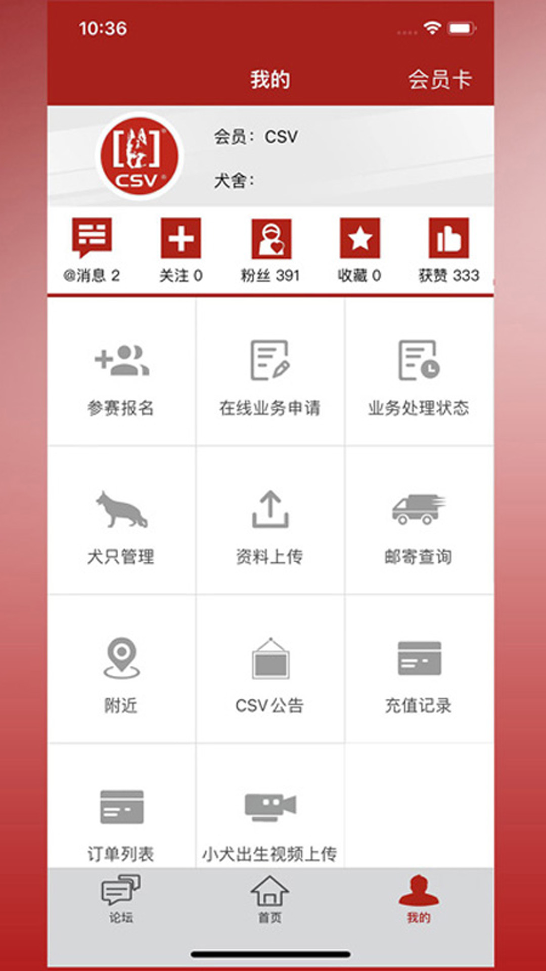 CSV截图3