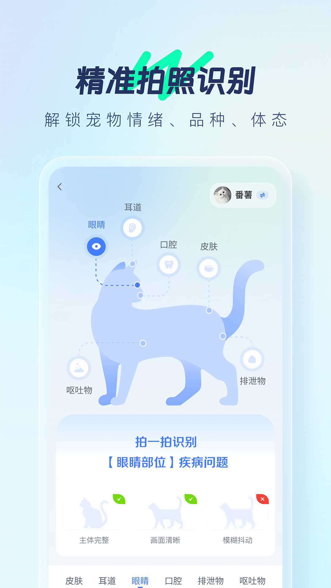 宠智灵v1.0.3截图4