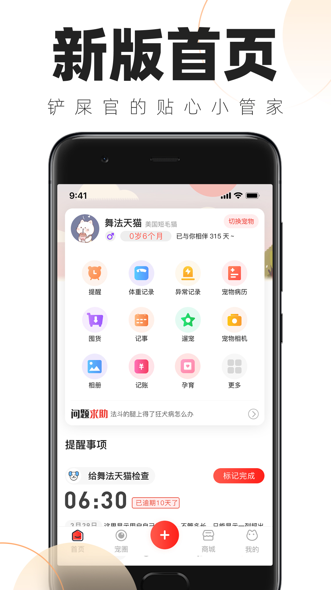 铲屎官的日常截图1