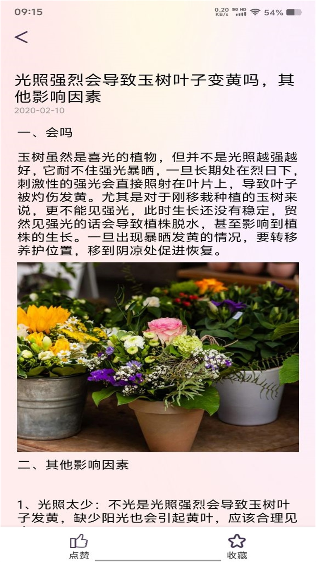 花社区v1.1截图1