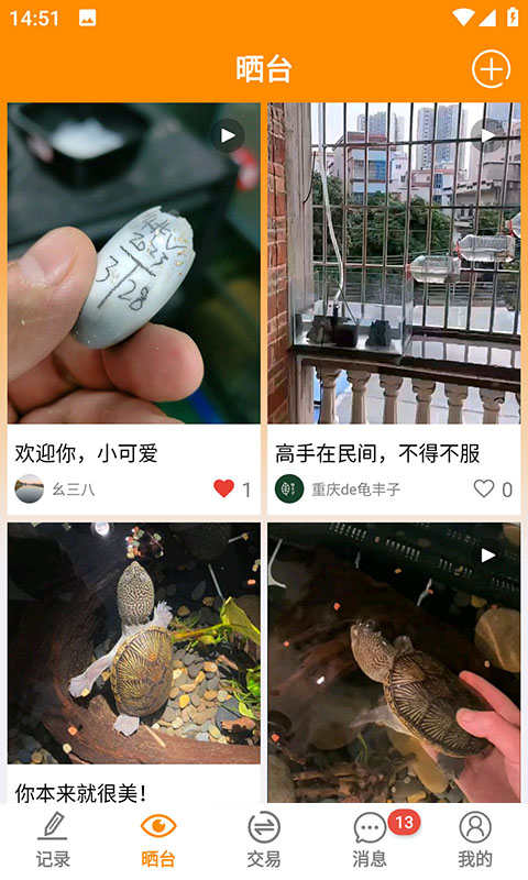 龟圈江湖截图2