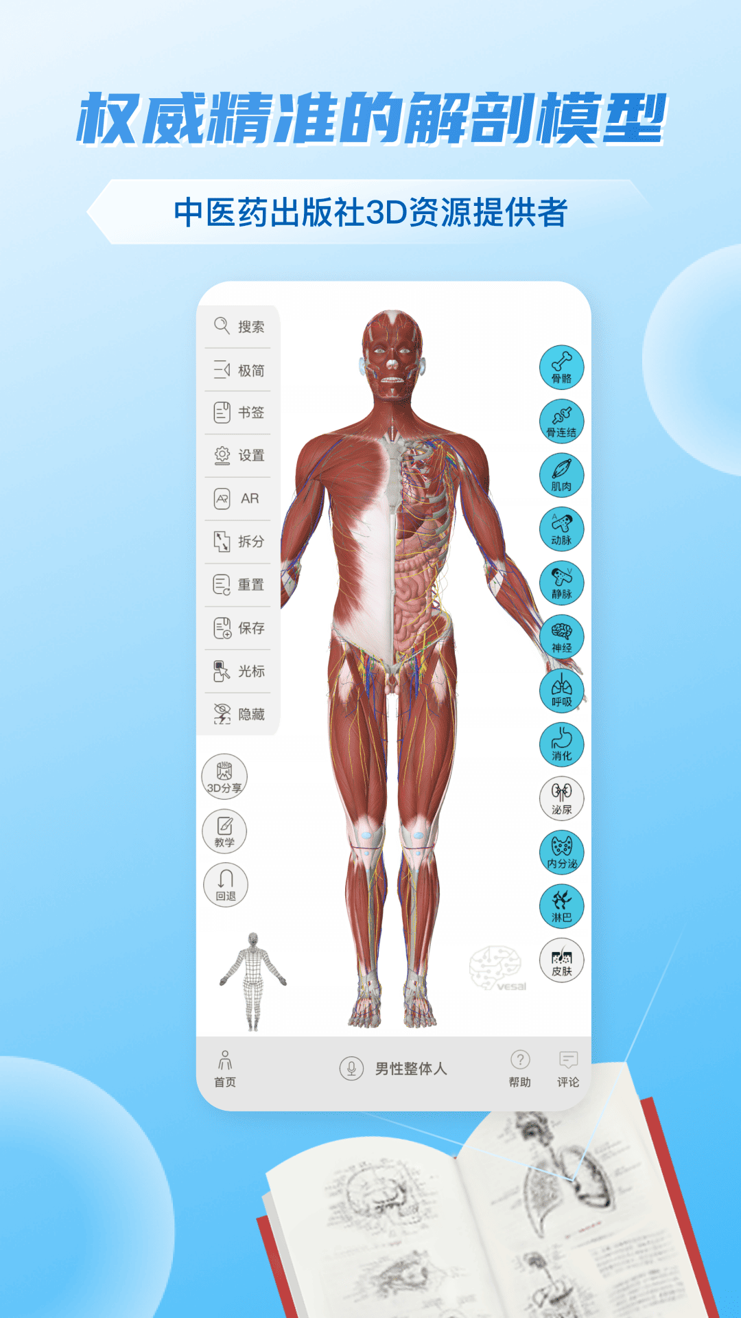 维萨里3D解剖截图1