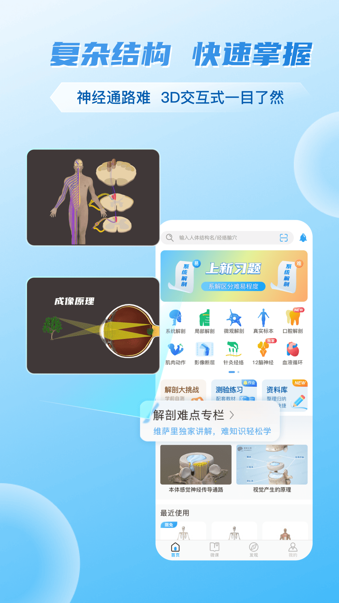 维萨里3D解剖截图3