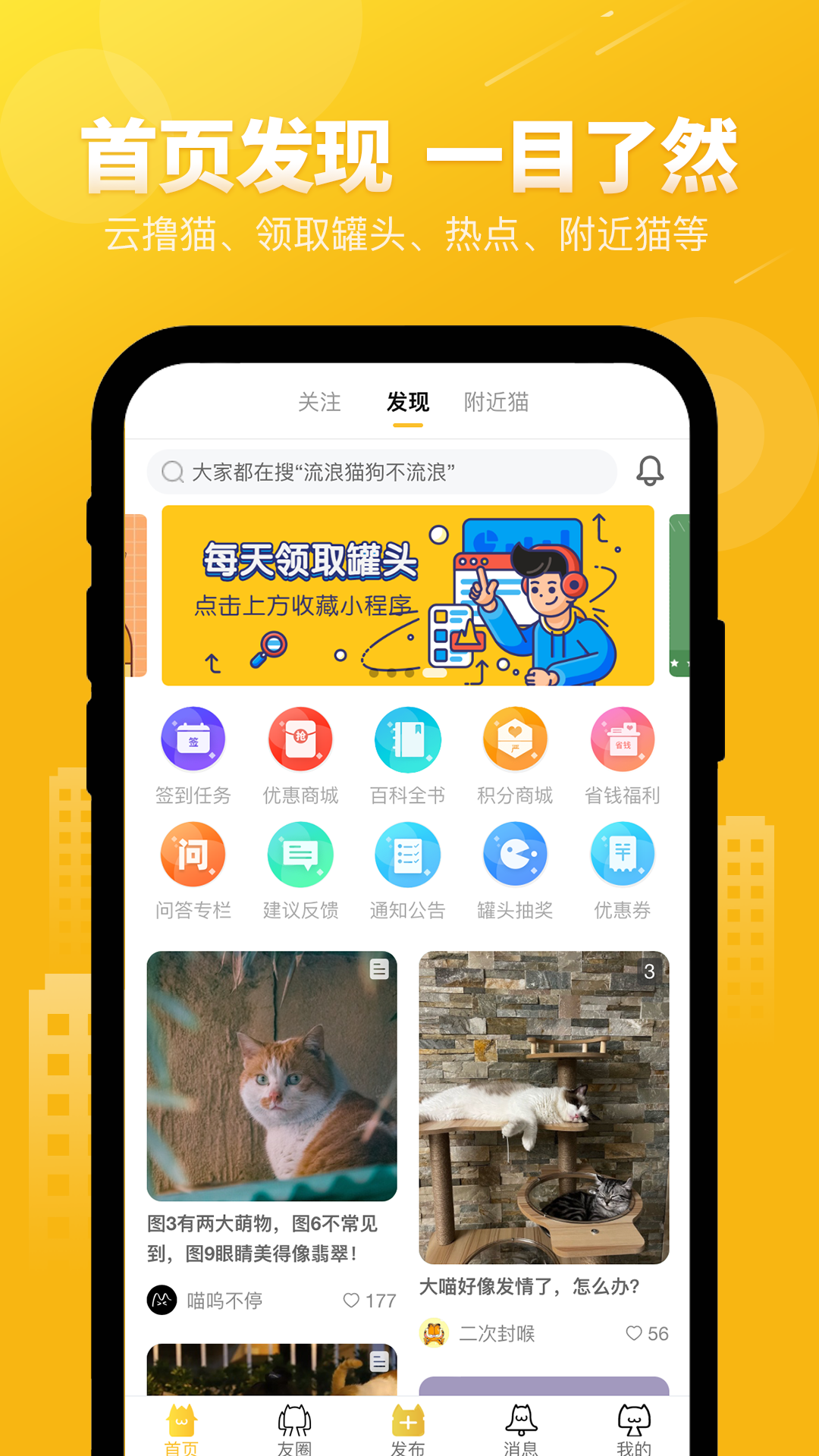 友猫截图1