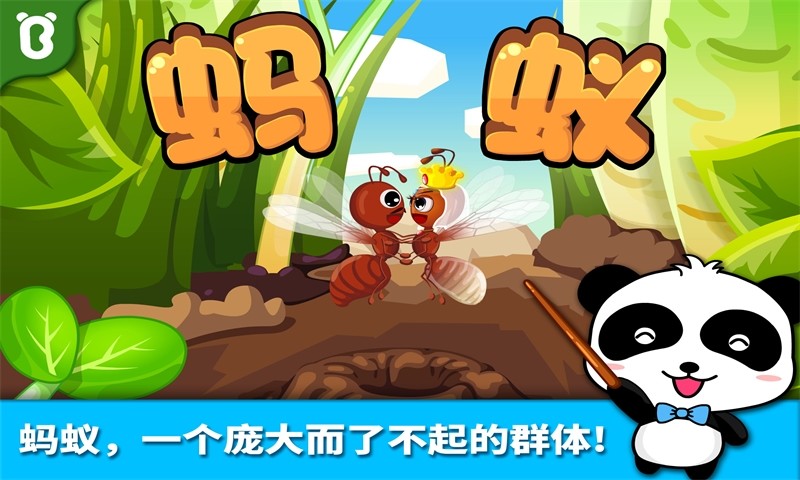 宝宝认蚂蚁v9.87.00.00截图1
