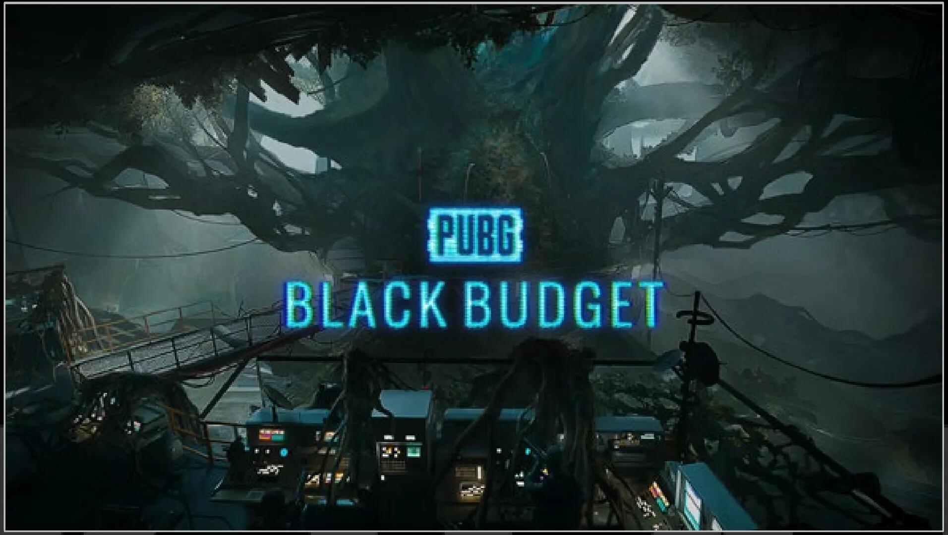 PUBG： BLACK BUDGET截图2