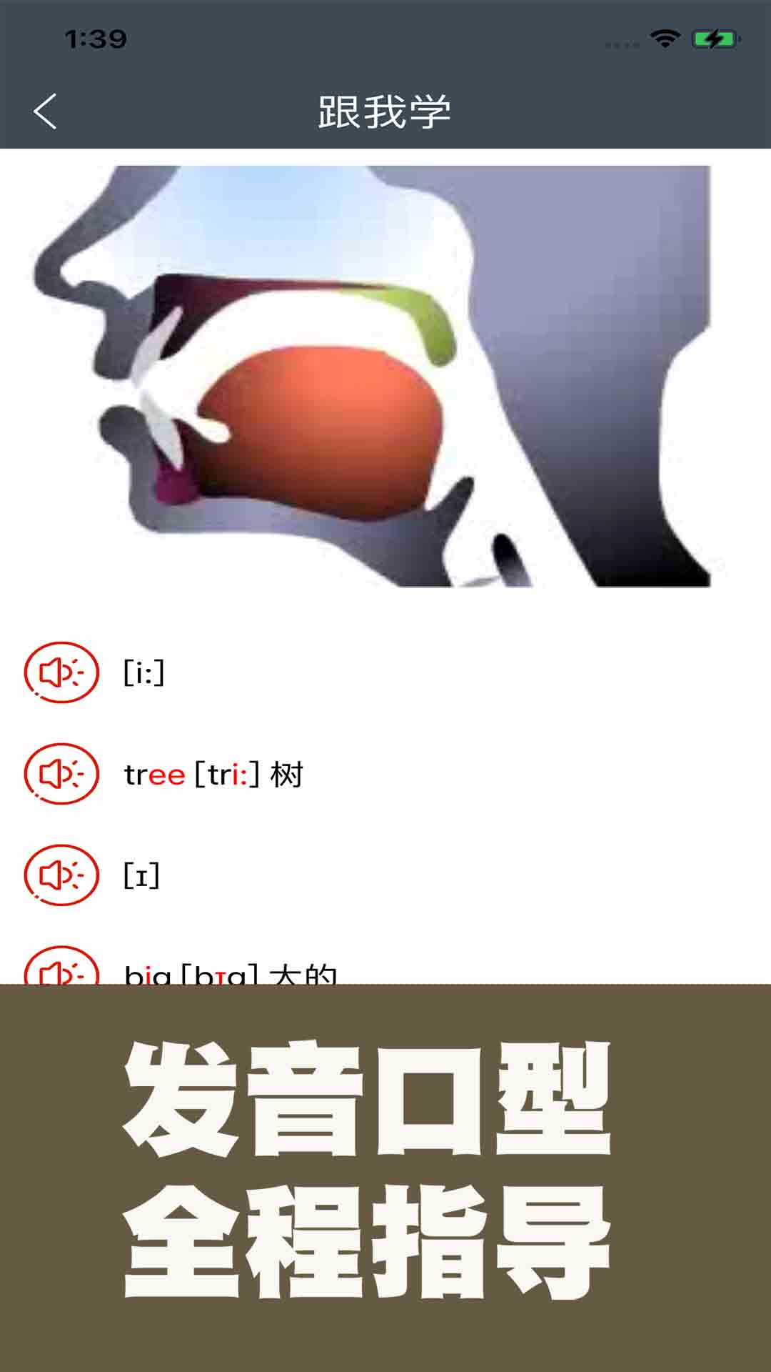 英语国际音标标准教程截图4