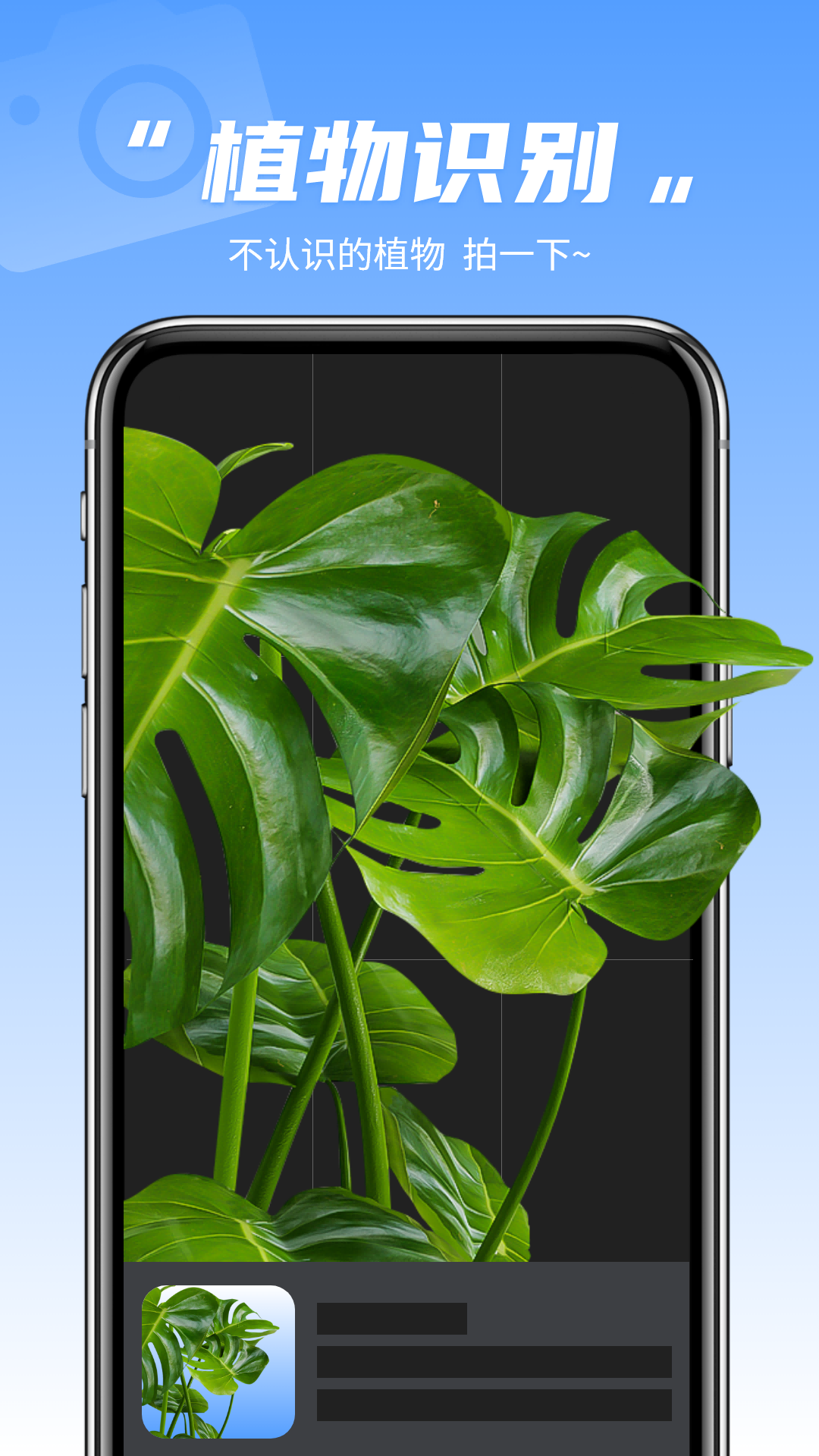 拍照识别植物截图1