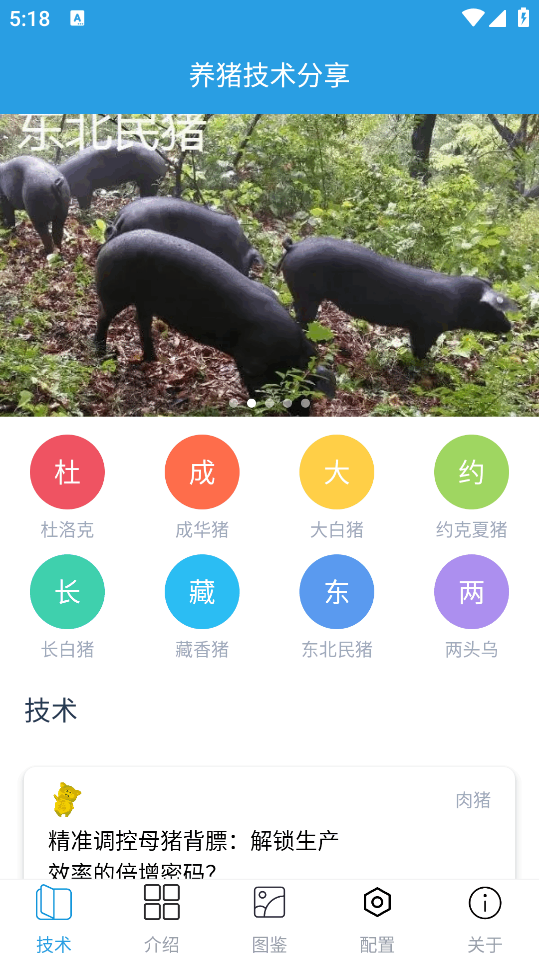 赚钱的养猪场截图1
