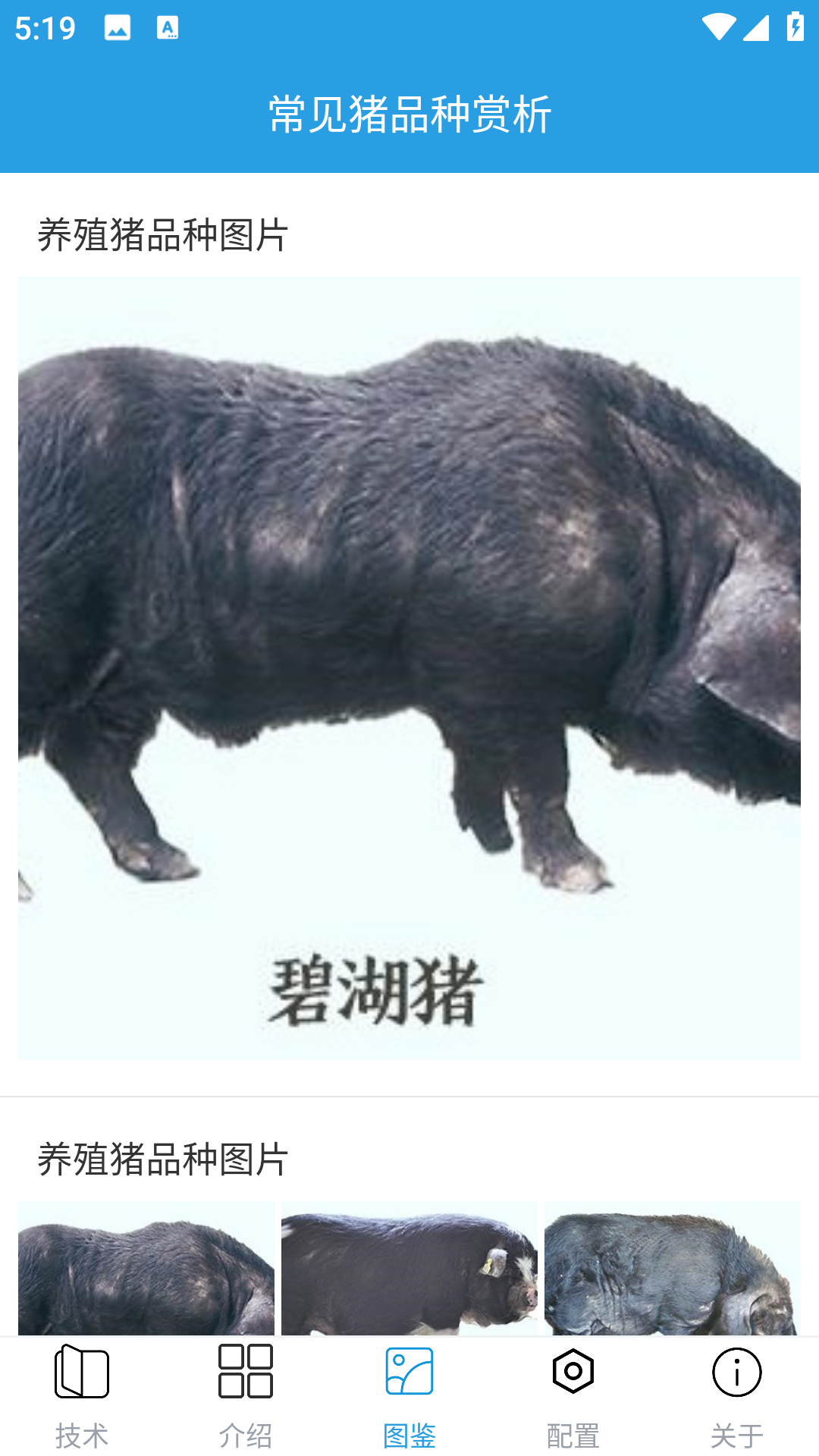 赚钱的养猪场截图3