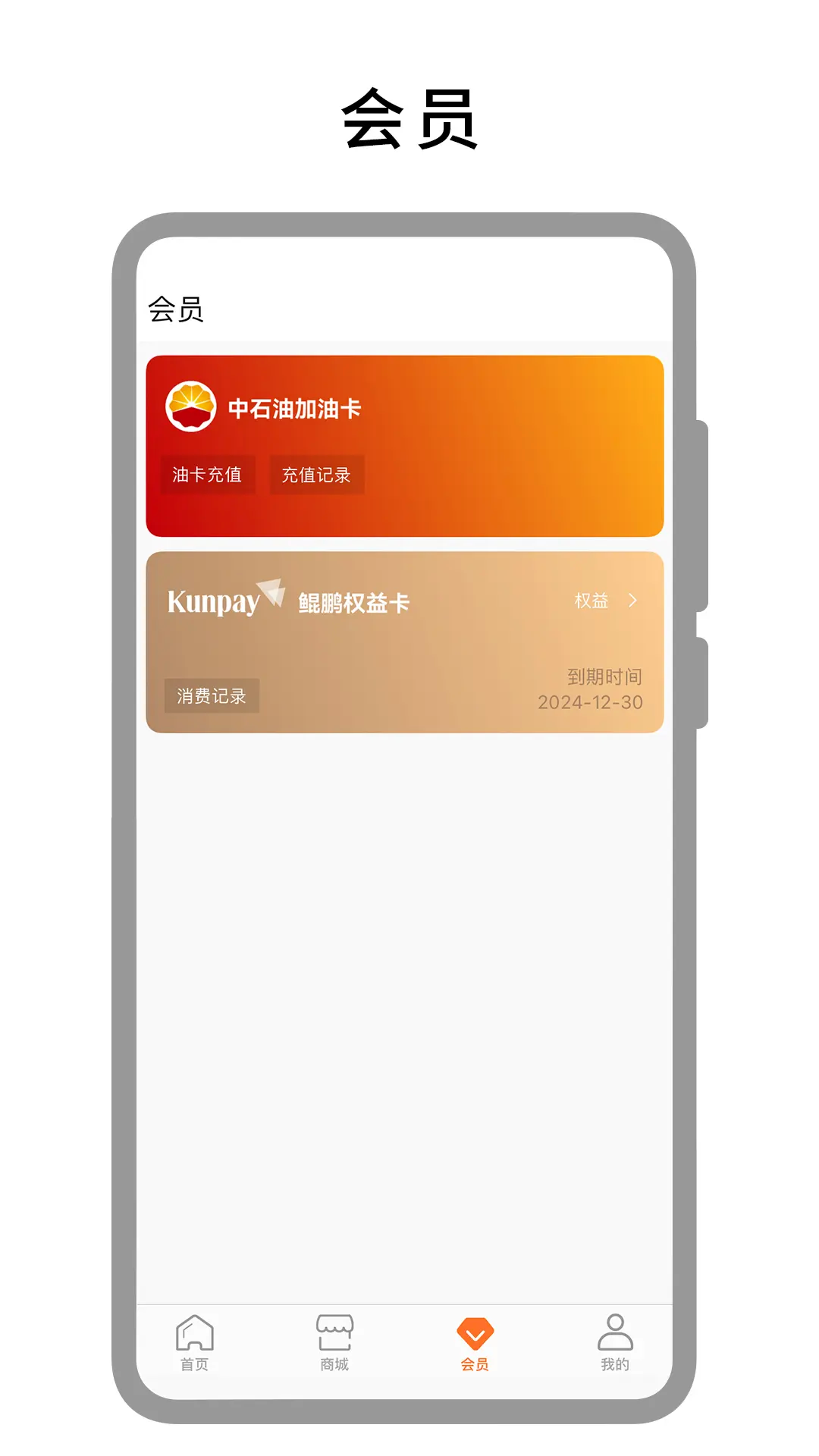 鲲鹏快付截图3