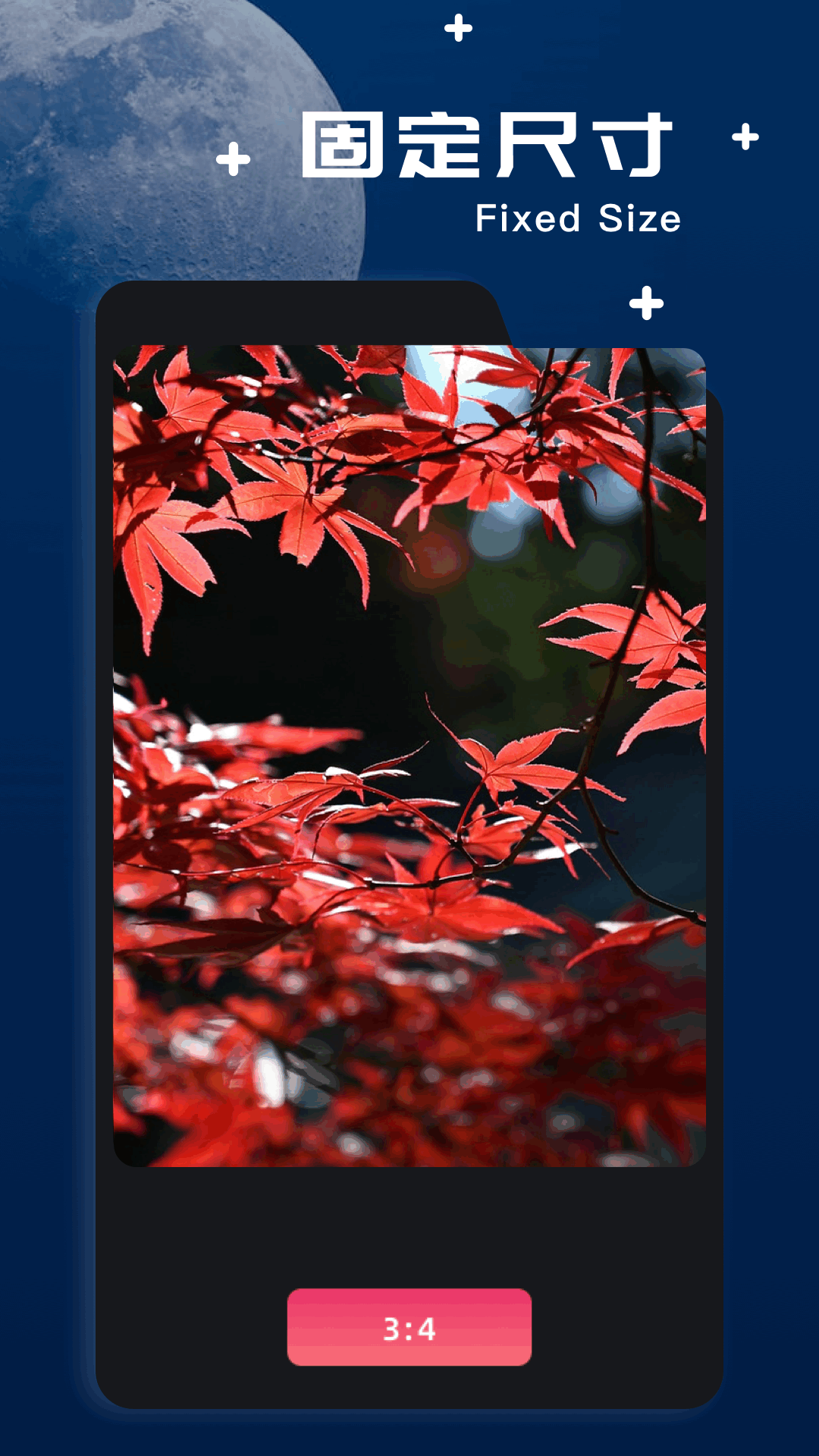 amaze文件管理器截图1