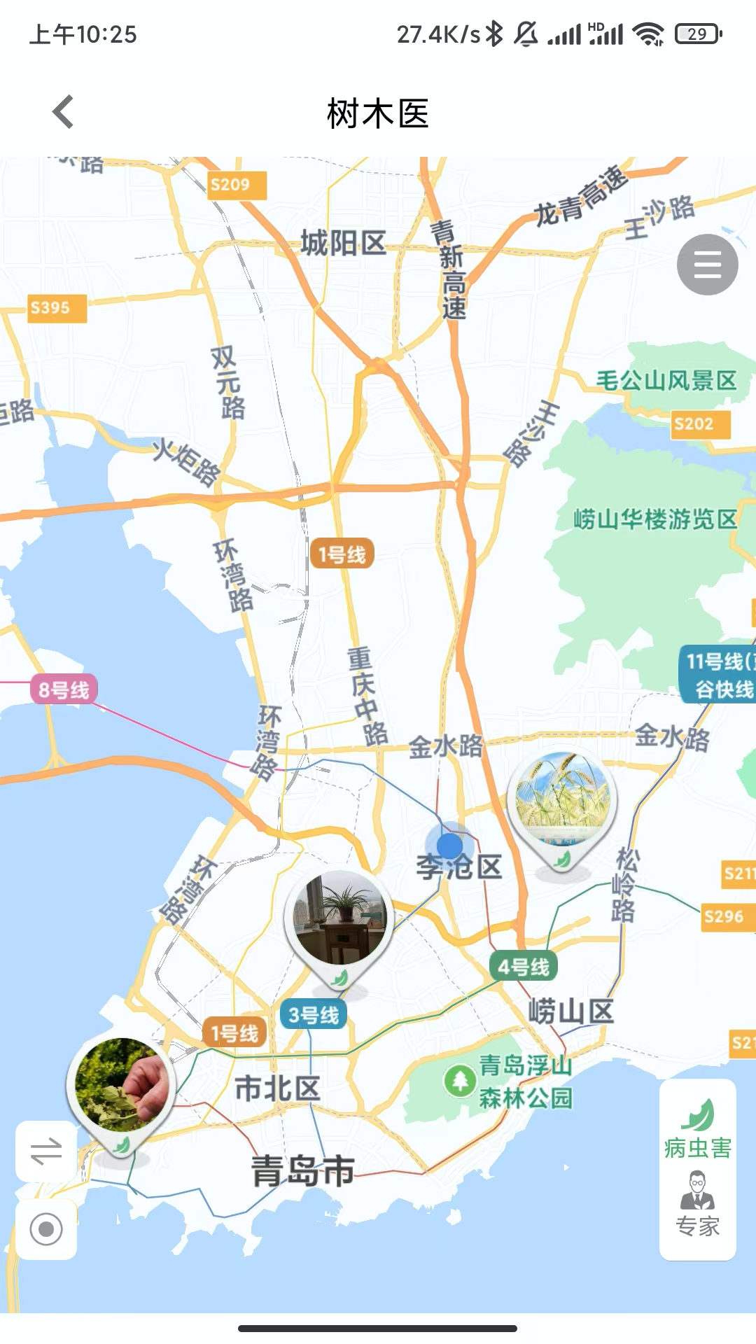 树木医截图2