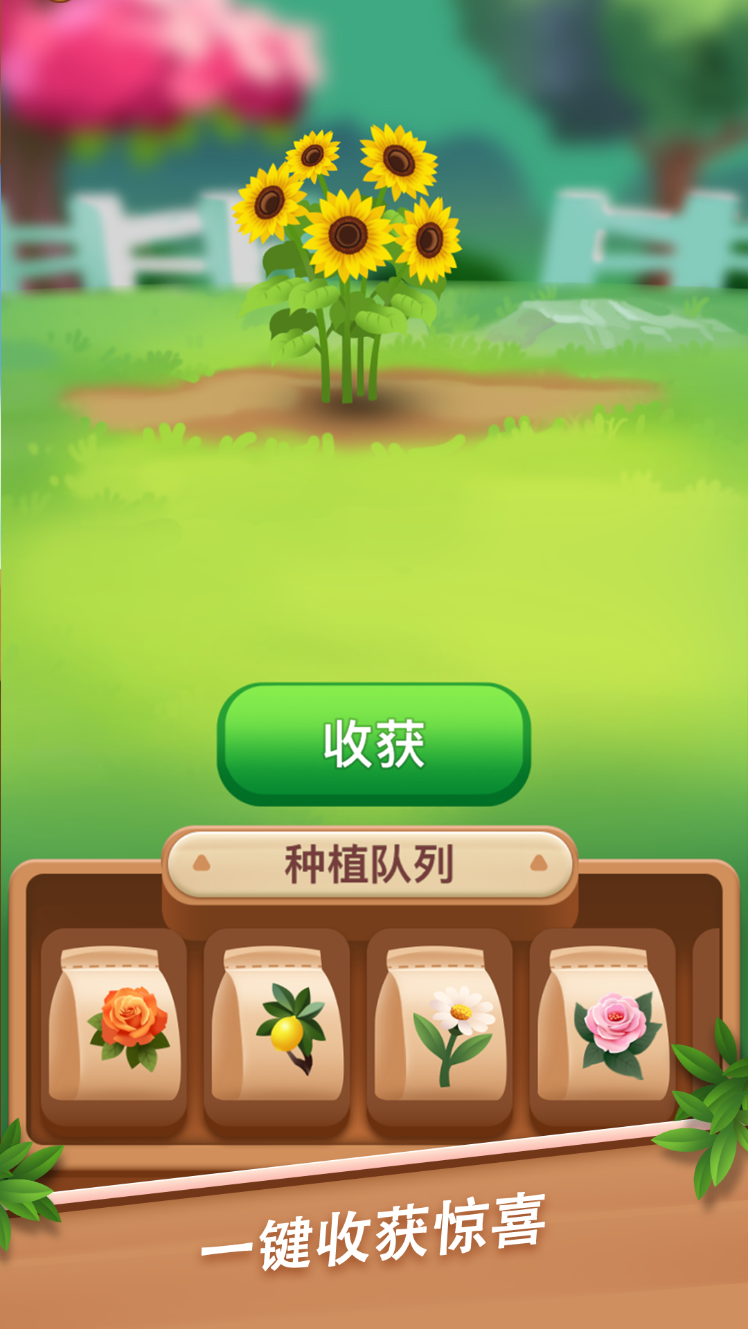 温馨花园截图2