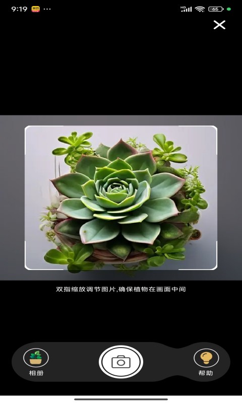 花草志v1.0.3截图4