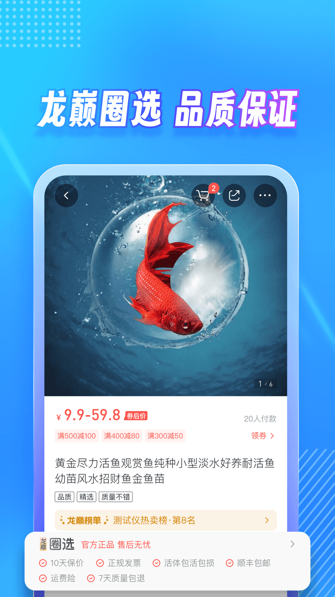 龙巅截图5