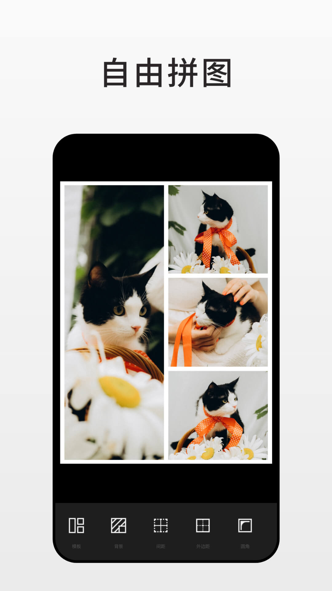 Fotor截图4