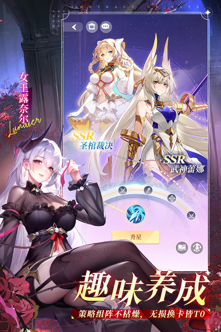 命运圣契截图5