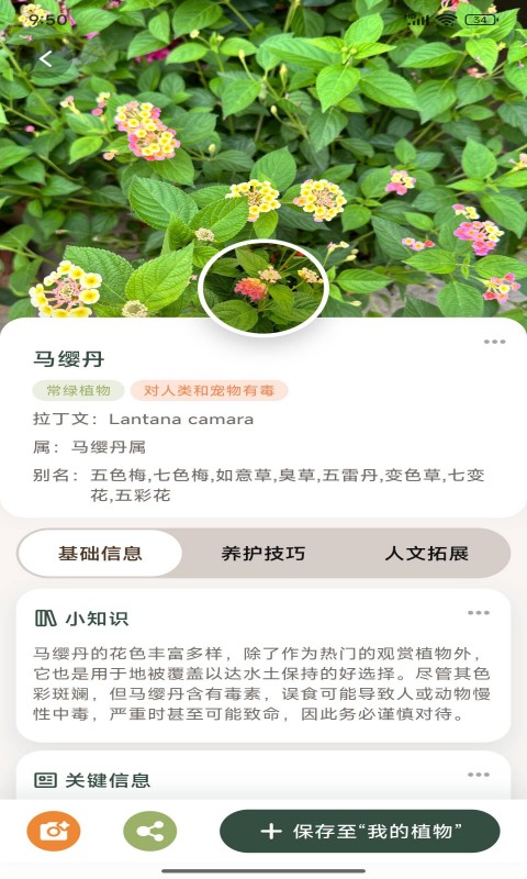 花草志截图4
