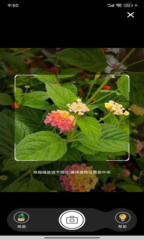 花草志截图3