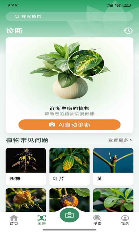 花草志截图2
