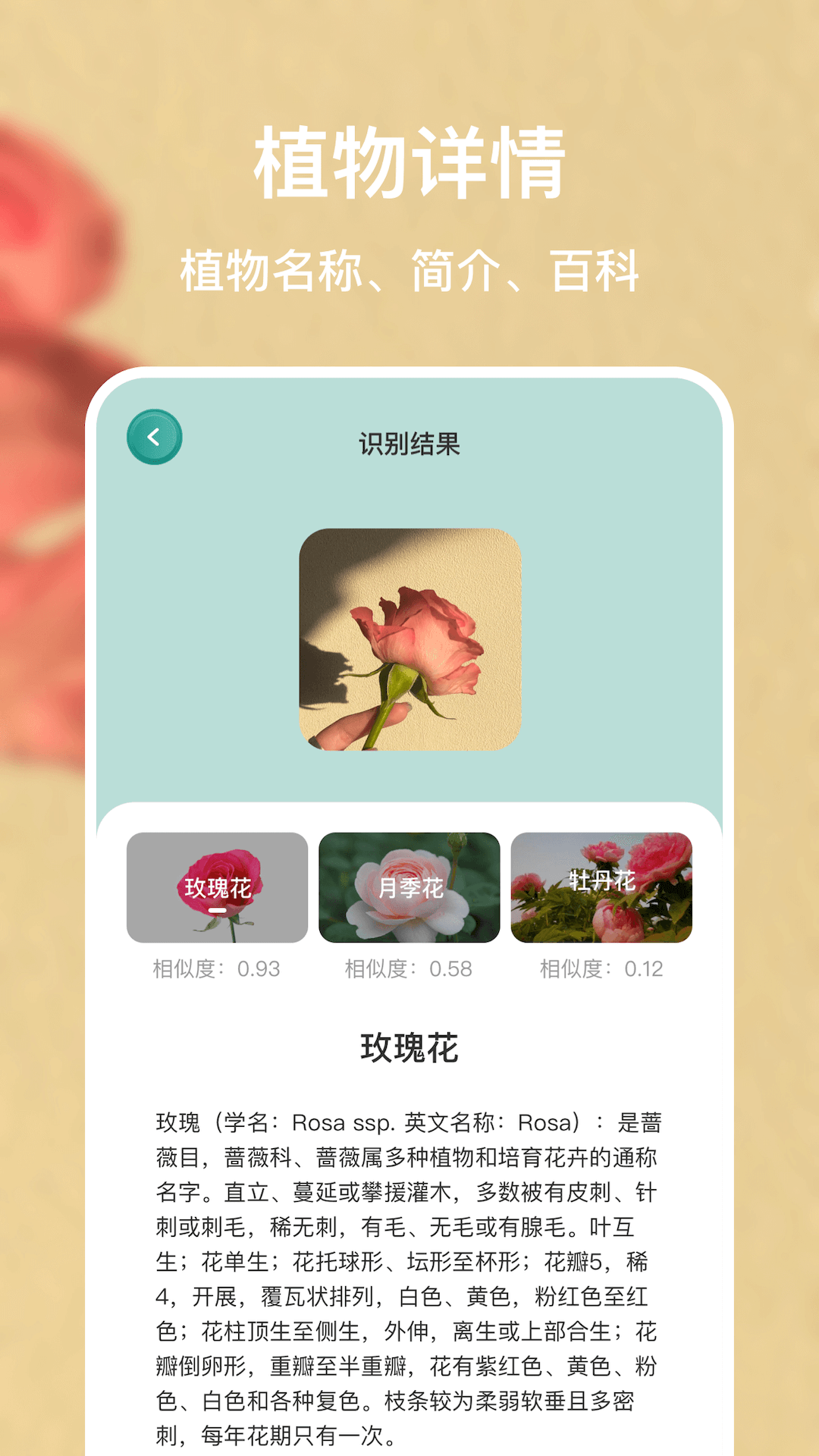 识别花截图3