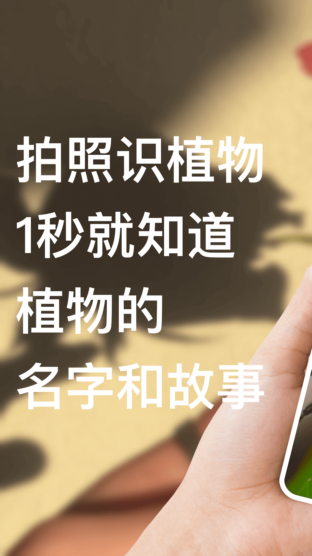 识别花截图1