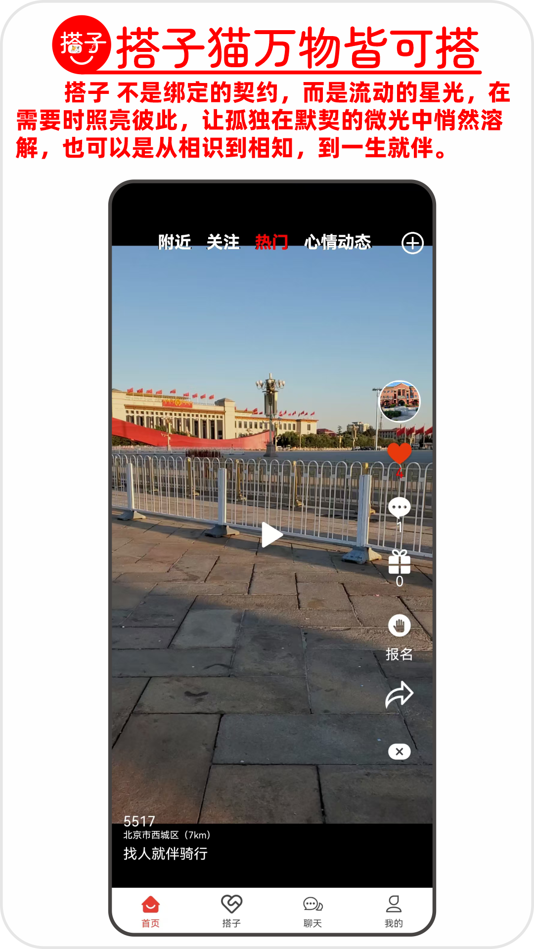 搭子猫截图2