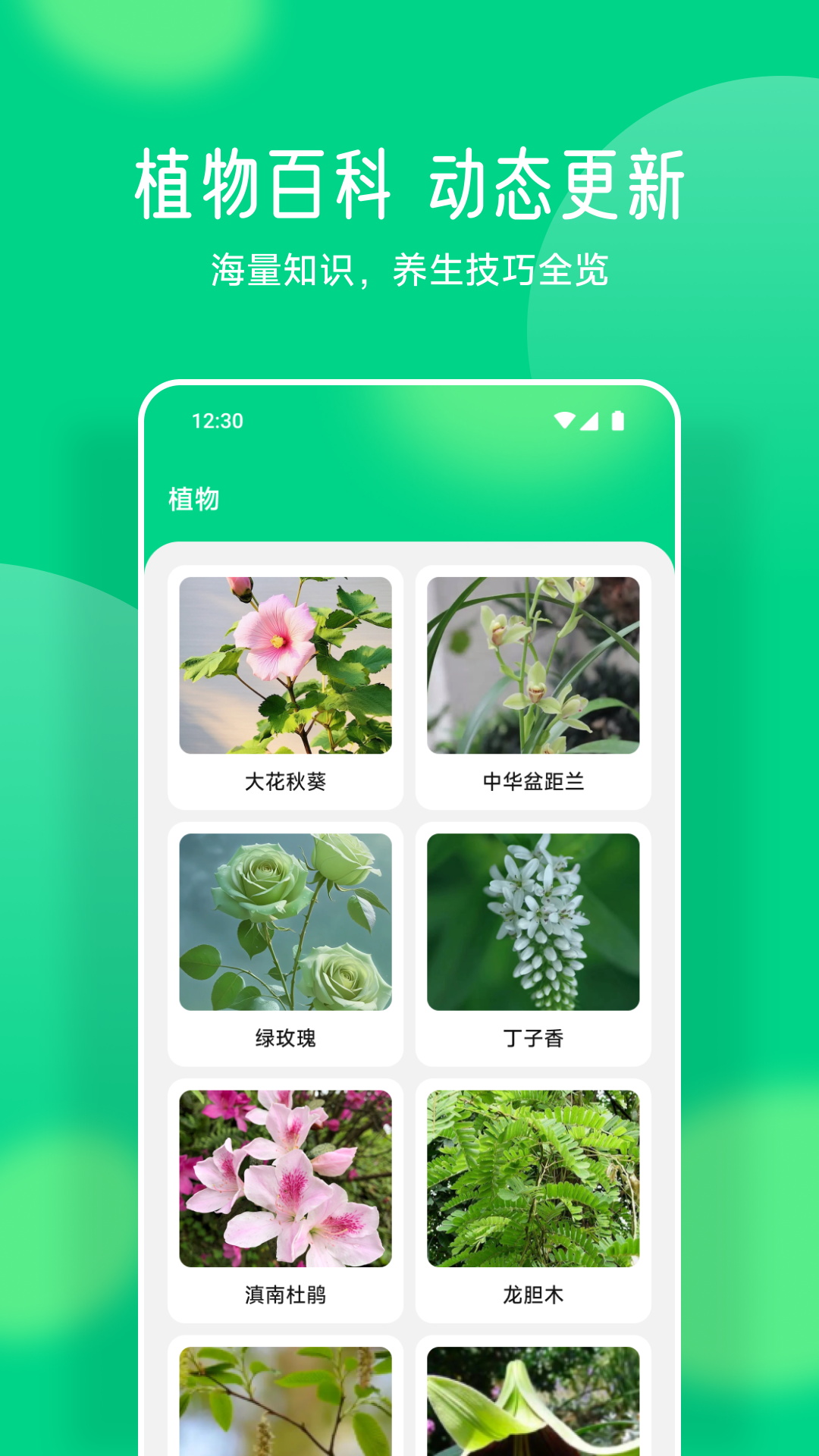 易花截图4