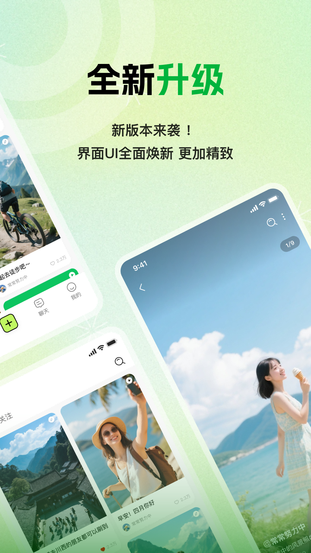 孤鸽截图1
