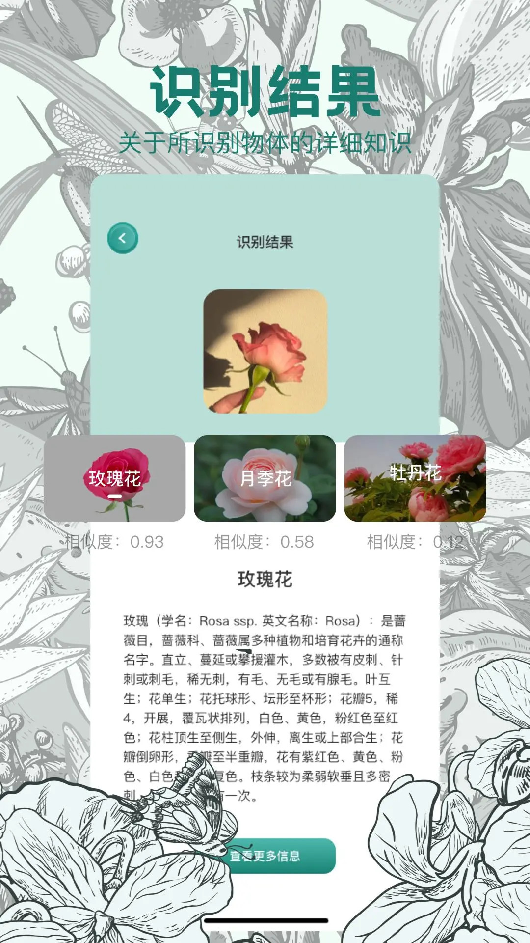 拍图识物截图3