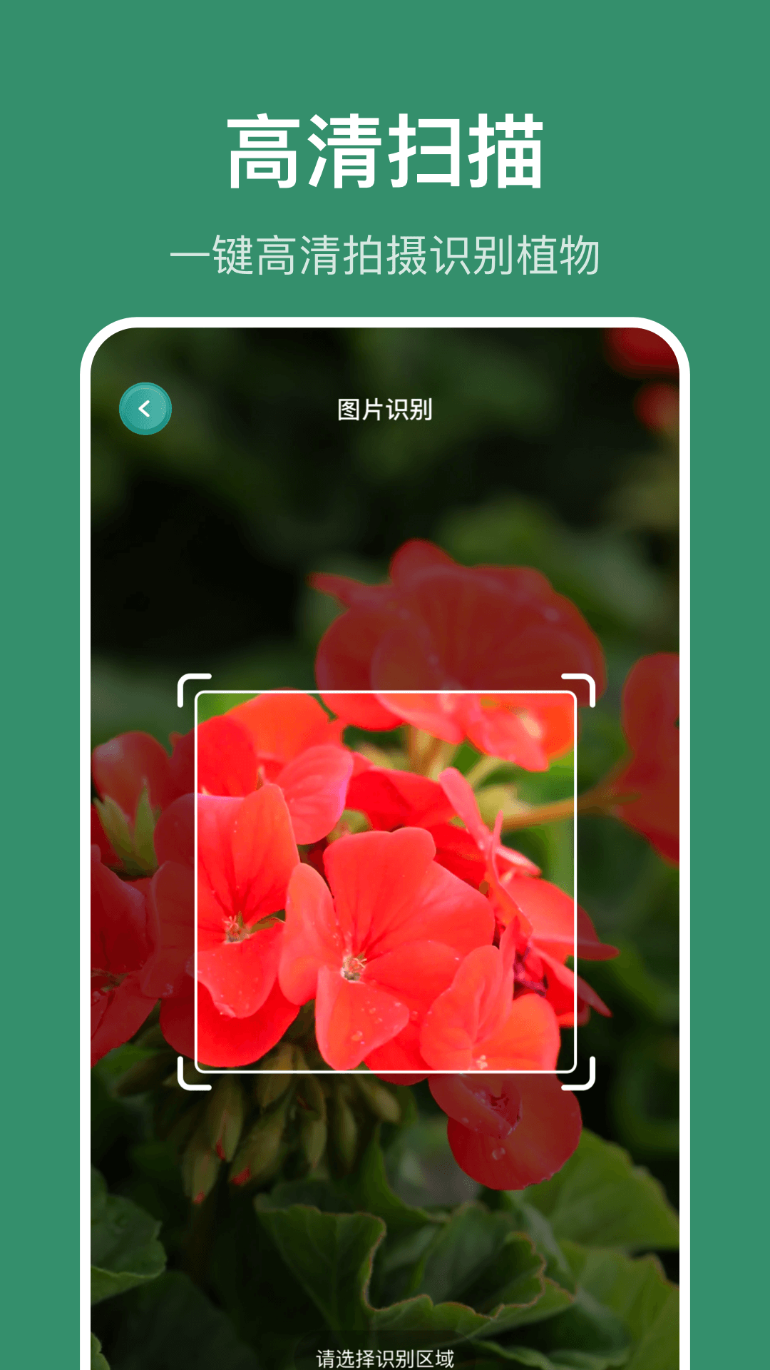 识花草截图3