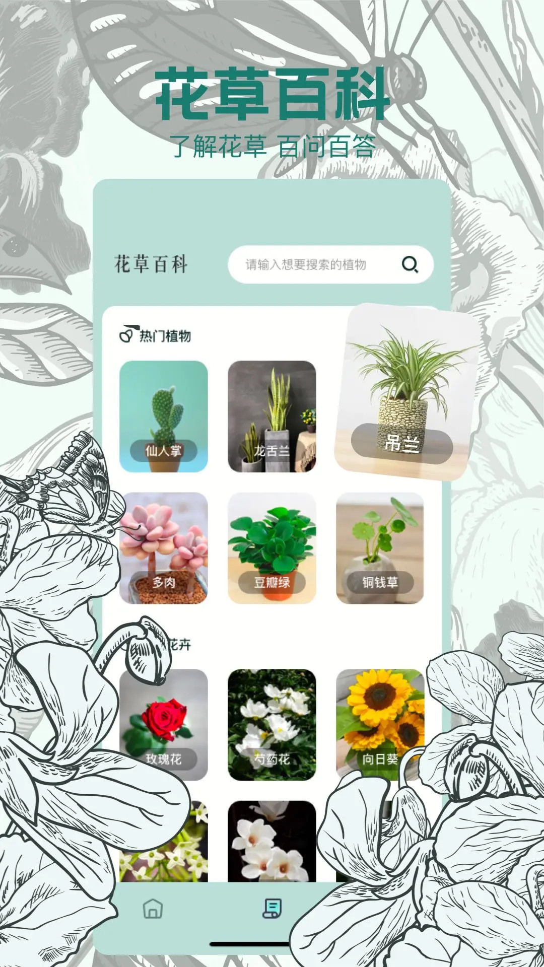 拍图识物截图4