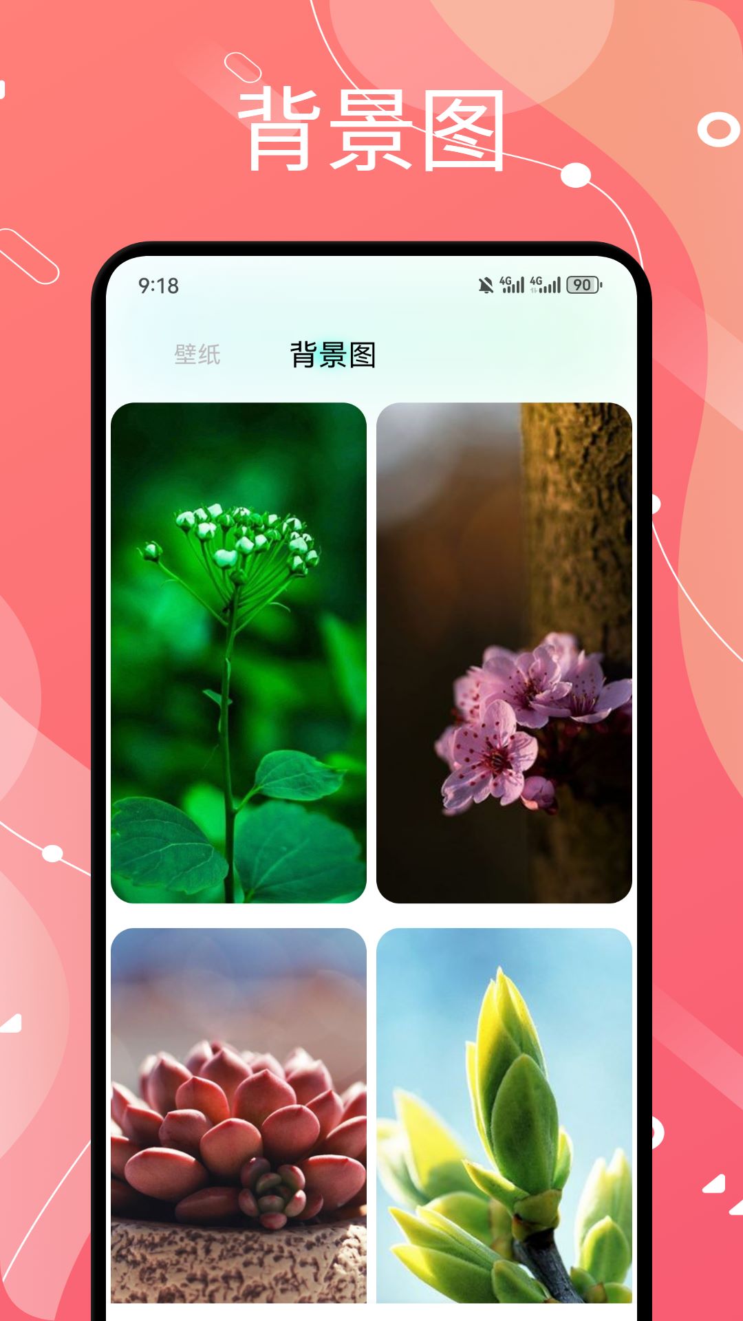 蜜桃壁纸截图4