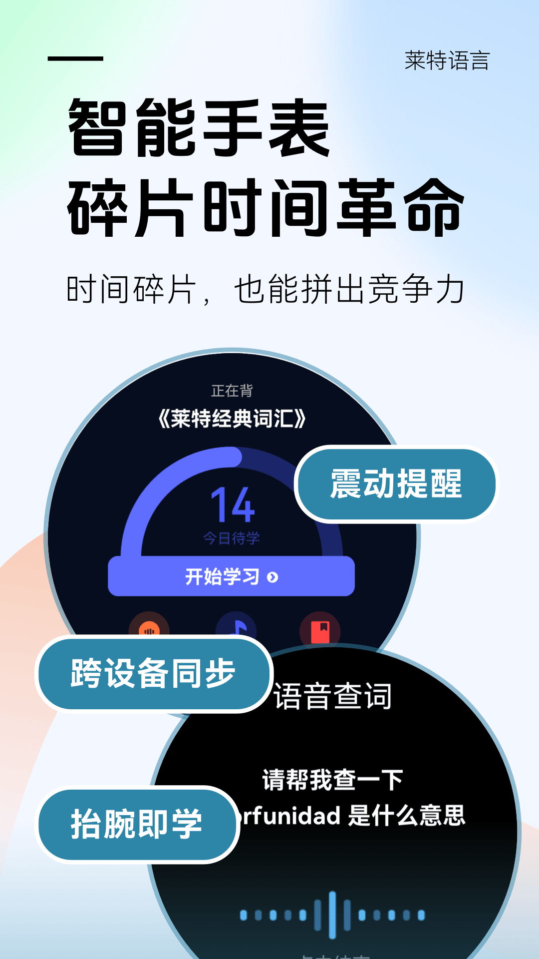 莱特西班牙语学习背单词截图5