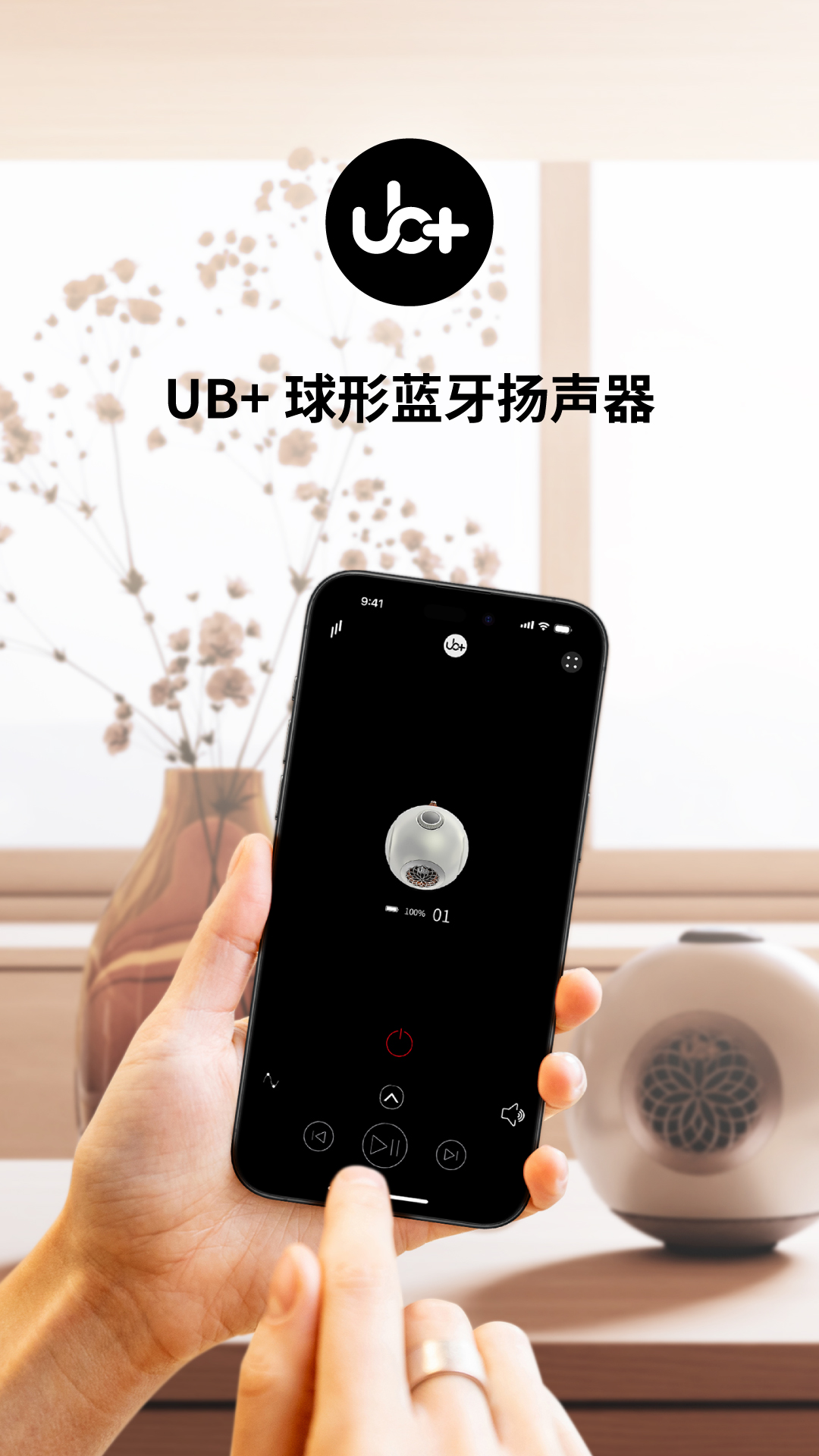 UB+SEEK无线音箱截图1
