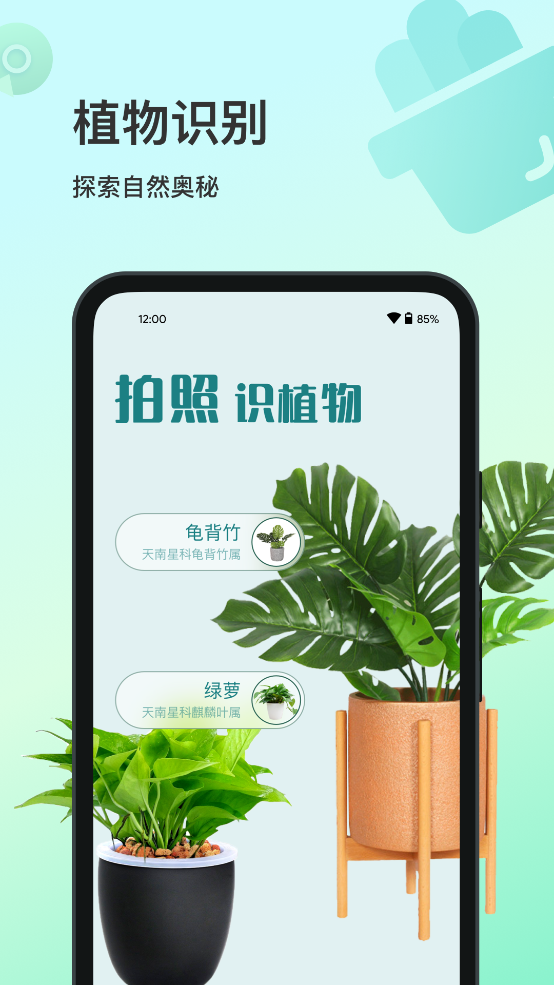 花卉识别截图1