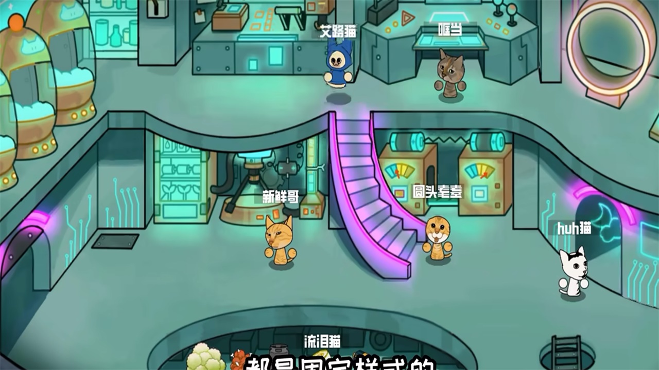 卵生猫之星际海贼团截图1
