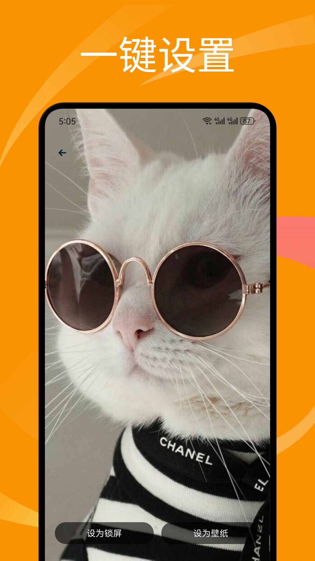 萌猫公园日常截图4