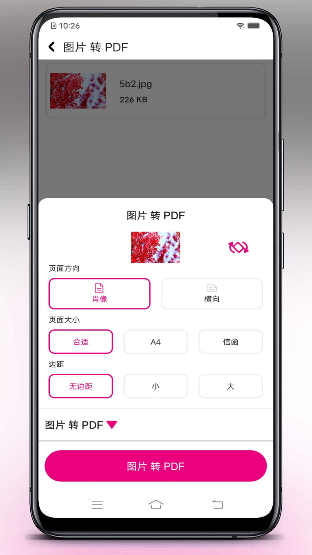 壹龙PDF转换截图5
