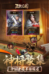 正统三国截图4