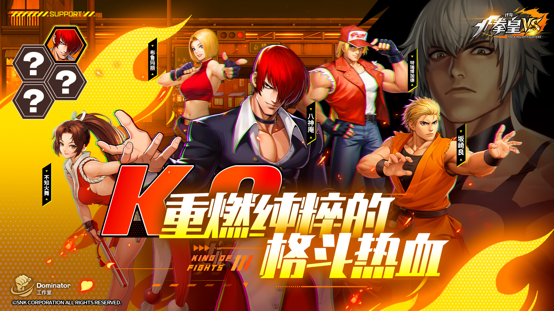 代号：拳皇VS截图5