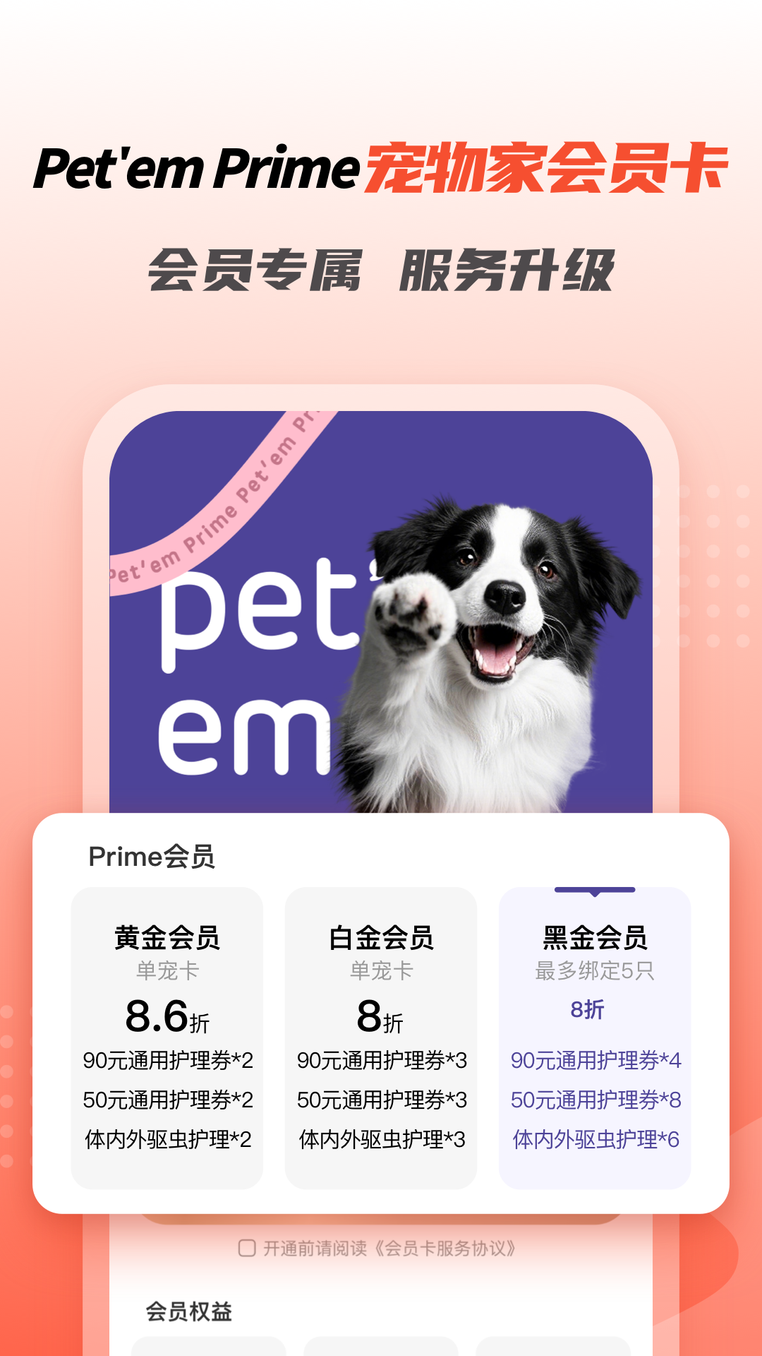 宠物家截图1