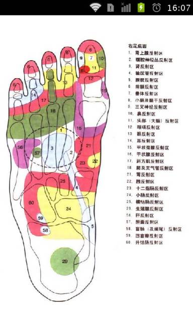 图解足部按摩之老年疾病截图5