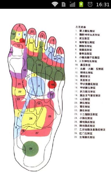 图解足部按摩之五官科病症截图5