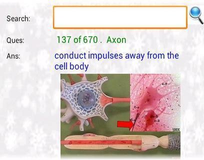 Crainial Nerves, Spinal Cord and Spinal Nerves flashcards截图2