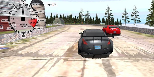 3D高速赛车 Speed Racing 3D截图4