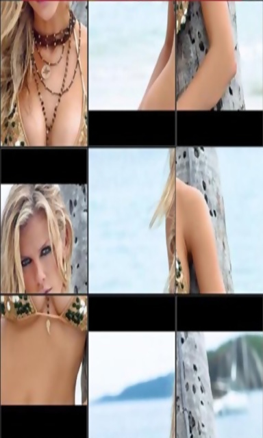 布鲁克林德克尔 Brooklyn Decker Jigsaw Puzzle截图4