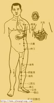 最伟大的身体各部排毒方法截图1